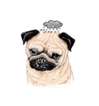May the Pug be with you（個別スタンプ：26）