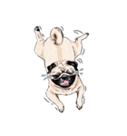 May the Pug be with you（個別スタンプ：27）
