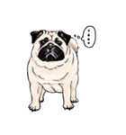 May the Pug be with you（個別スタンプ：33）