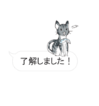 犬猫のんびり【吹き出し】（個別スタンプ：1）