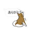 犬猫のんびり【吹き出し】（個別スタンプ：2）