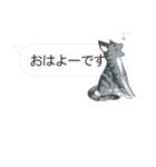 犬猫のんびり【吹き出し】（個別スタンプ：3）