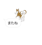 犬猫のんびり【吹き出し】（個別スタンプ：4）