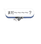 犬猫のんびり【吹き出し】（個別スタンプ：6）