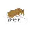 犬猫のんびり【吹き出し】（個別スタンプ：7）