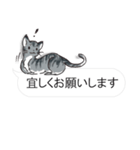 犬猫のんびり【吹き出し】（個別スタンプ：8）