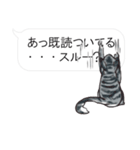 犬猫のんびり【吹き出し】（個別スタンプ：9）