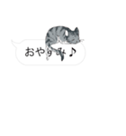 犬猫のんびり【吹き出し】（個別スタンプ：11）