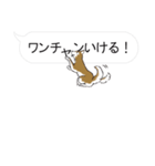 犬猫のんびり【吹き出し】（個別スタンプ：12）