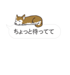 犬猫のんびり【吹き出し】（個別スタンプ：13）