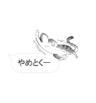 犬猫のんびり【吹き出し】（個別スタンプ：14）