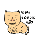 Cat sompoung（個別スタンプ：6）