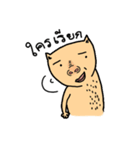 Cat sompoung（個別スタンプ：7）