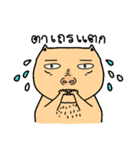 Cat sompoung（個別スタンプ：17）