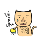 Cat sompoung（個別スタンプ：23）