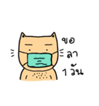 Cat sompoung（個別スタンプ：26）