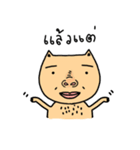 Cat sompoung（個別スタンプ：30）