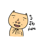 Cat sompoung（個別スタンプ：31）