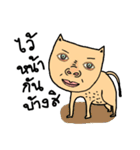 Cat sompoung（個別スタンプ：32）