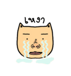 Cat sompoung（個別スタンプ：36）