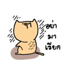 Cat sompoung（個別スタンプ：40）
