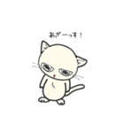 しろいにゃんとぐれいにゃん（個別スタンプ：8）