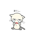 しろいにゃんとぐれいにゃん（個別スタンプ：13）