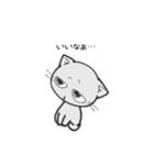 しろいにゃんとぐれいにゃん（個別スタンプ：24）