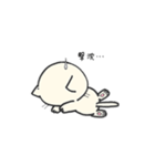 しろいにゃんとぐれいにゃん（個別スタンプ：31）