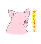 しいたげられるブタ（個別スタンプ：33）
