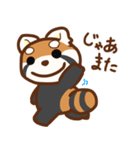 レッサーパンダディ（個別スタンプ：1）