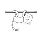 White Weird Cat (Animated)（個別スタンプ：14）