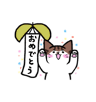 ポンポンしっぽのぷーちゃん（個別スタンプ：22）