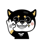 SHIBA KONBU（個別スタンプ：1）