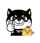 SHIBA KONBU（個別スタンプ：2）