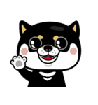 SHIBA KONBU（個別スタンプ：3）