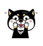 SHIBA KONBU（個別スタンプ：4）