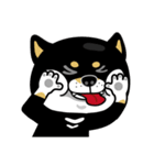 SHIBA KONBU（個別スタンプ：8）