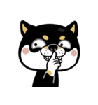 SHIBA KONBU（個別スタンプ：10）