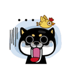 SHIBA KONBU（個別スタンプ：11）