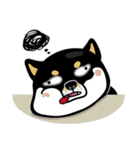 SHIBA KONBU（個別スタンプ：13）