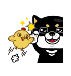 SHIBA KONBU（個別スタンプ：16）