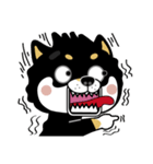 SHIBA KONBU（個別スタンプ：17）