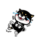 SHIBA KONBU（個別スタンプ：23）