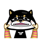 SHIBA KONBU（個別スタンプ：27）