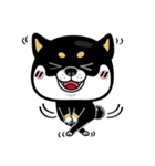 SHIBA KONBU（個別スタンプ：30）