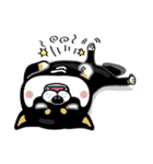 SHIBA KONBU（個別スタンプ：31）