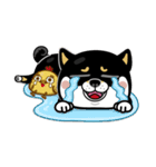 SHIBA KONBU（個別スタンプ：32）