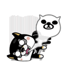 SHIBA KONBU（個別スタンプ：34）