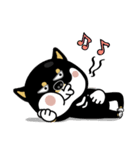 SHIBA KONBU（個別スタンプ：35）